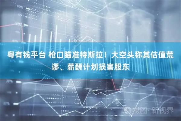 粤有钱平台 枪口瞄准特斯拉！大空头称其估值荒谬、薪酬计划损害股东