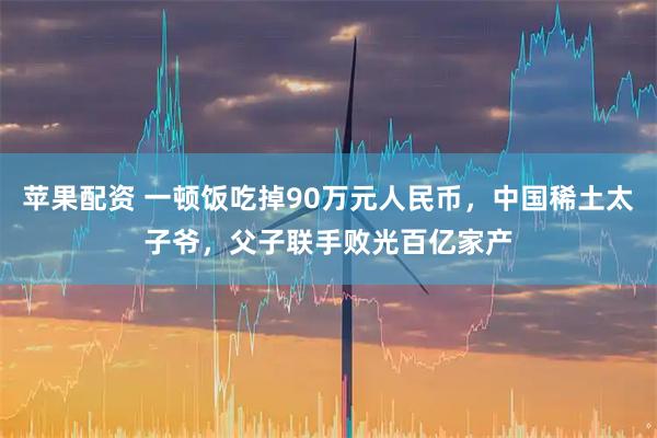 苹果配资 一顿饭吃掉90万元人民币，中国稀土太子爷，父子联手败光百亿家产
