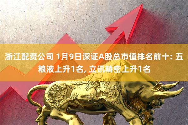 浙江配资公司 1月9日深证A股总市值排名前十: 五粮液上升1名, 立讯精密上升1名