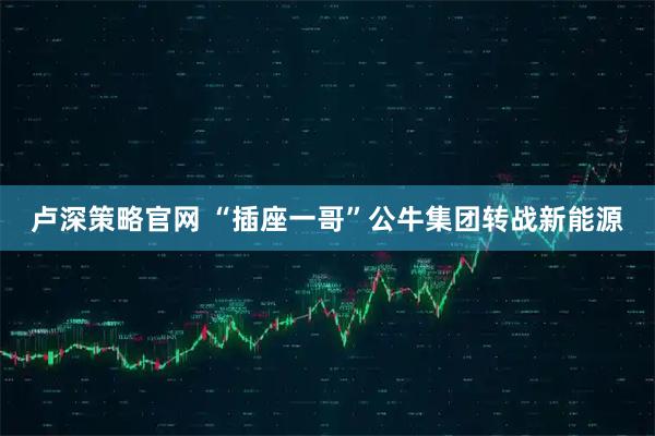 卢深策略官网 “插座一哥”公牛集团转战新能源