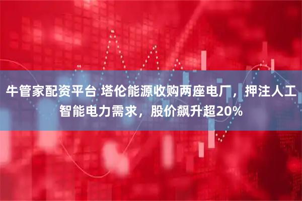 牛管家配资平台 塔伦能源收购两座电厂，押注人工智能电力需求，股价飙升超20%