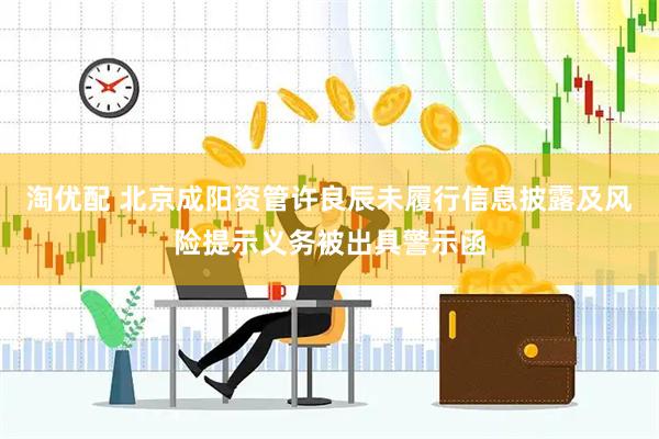 淘优配 北京成阳资管许良辰未履行信息披露及风险提示义务被出具警示函