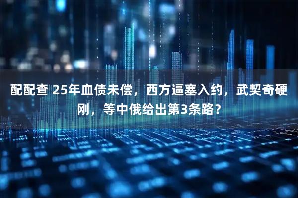 配配查 25年血债未偿，西方逼塞入约，武契奇硬刚，等中俄给出第3条路？