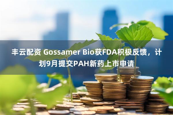 丰云配资 Gossamer Bio获FDA积极反馈，计划9月提交PAH新药上市申请